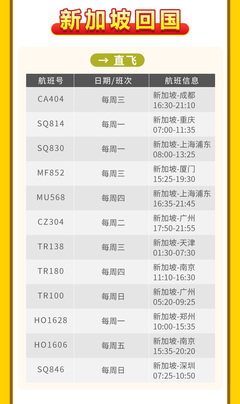 全球機票代訂服務 回國與出國無憂，圣誕元旦出行首選