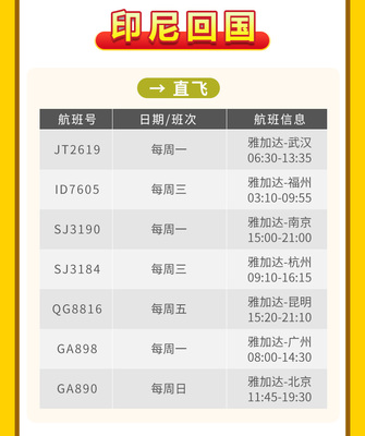 全球機票代訂服務 圣誕元旦出行無憂，回國出國出票有保障
